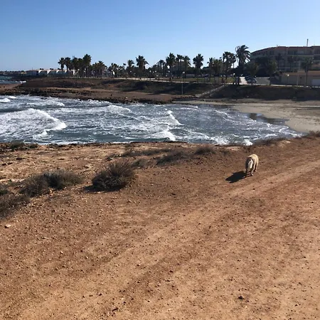 Apartment Modern 2 Bedroom In Playa Flamenca